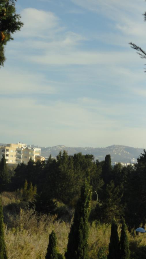 Paphos Holiday Home 外观 照片